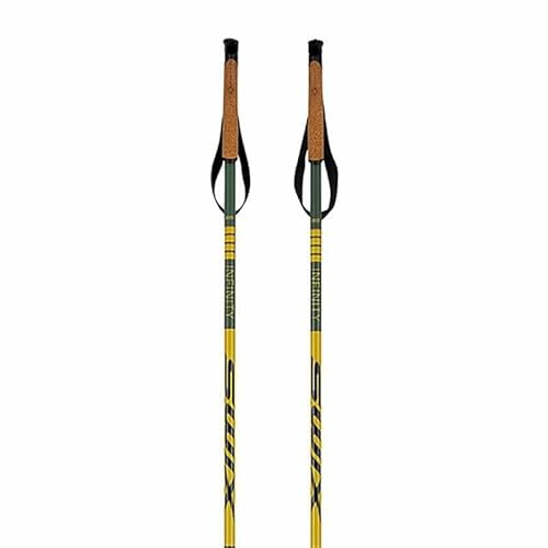 Swix Infinity Basic Alu Pole