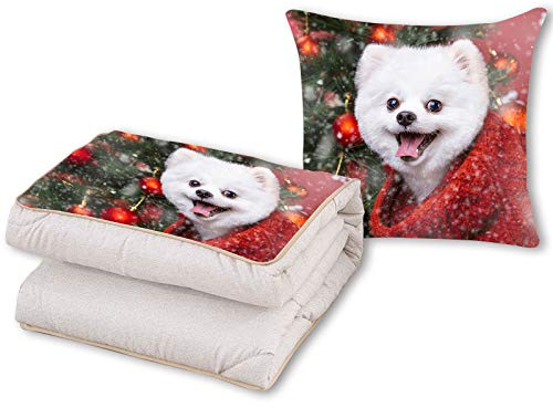 Jilijia Personalisierter Kissenbezug Bedrucktes Foto Geschenk Custom 2 in 1 Kissen mit Fleecedecke / Rückenstützkissen für Klimaanlage Auto Decke Kissen Set