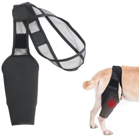 EOYVAIL Gelenk- & Knochenschutz für Hunde,Oberschenkelschutz für Hunde, Gelenkbandage, Beinbandage, Rehabilitationsbandage, Beinfixierungsgurt, Größe XL