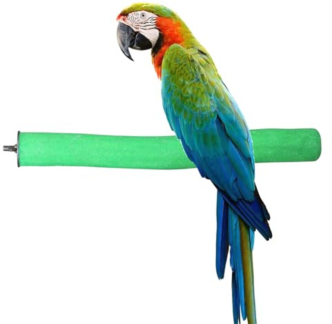 Bird Perch Rough-surfaced Nature Wood Stand Toy Branch for Parrots (Straight Perch, L)