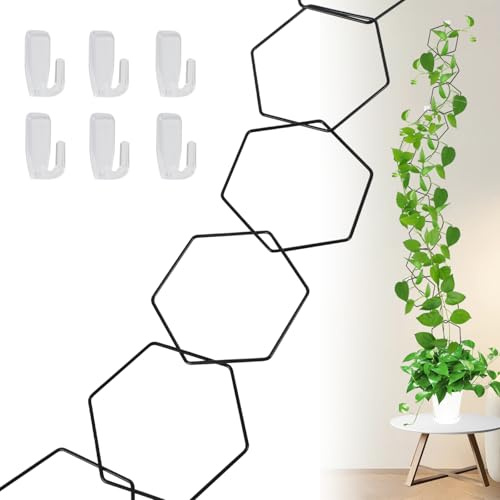 Griglia per piante rampicanti, griglia da muro da giardino, staffa da arrampicata per piante, decorazione da giardino fai da te per piante di vite, accessori per rampicanti, pothos, edera e altro