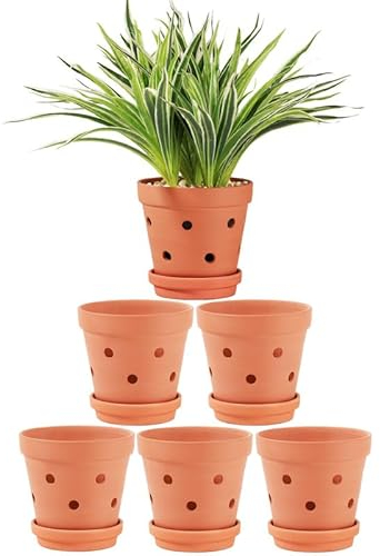 Yishang 6 Zoll Ton-Orchideentöpfe mit Drainagelöchern und Untersetzern – 6 Stück große Terrakotta-Pflanztöpfe zum Umtopfen, Pflanzen-Blumentöpfe für Orchideen drinnen und draußen, fördert die