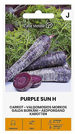 Zalia stotele | SUN VIOLA CAROTA H des Seeds | Semi di ortaggi | Semi di carota | Semi di piante | Semi da giardino | 1 pacchetto