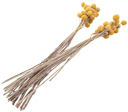 TORR 40 Piezas Flores Secas de Craspedia Flores Secas de Bolas de BotóN de, Ramo de Flores Secas para Arreglos Boda DecoracióN del Hogar