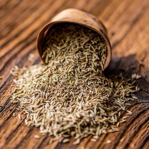 kreuzkümmel bio gemüsebeet balkonpflanzen winterhart wintergemüse dekopflanzen balkon gemüsepflanzen winterharte kübelpflanzen bonsai topf 100samen