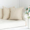 Teddy Kissenbezug 45x45 Beige – Plüsch Kissenhülle für Sofakissen – Kuscheliger Deko Kissenbezug – Waschbar, Flauschig & Modern – Ideal für Couch, Wohnlandschaft, Schlafzimmer & Wohnzimmer Deko
