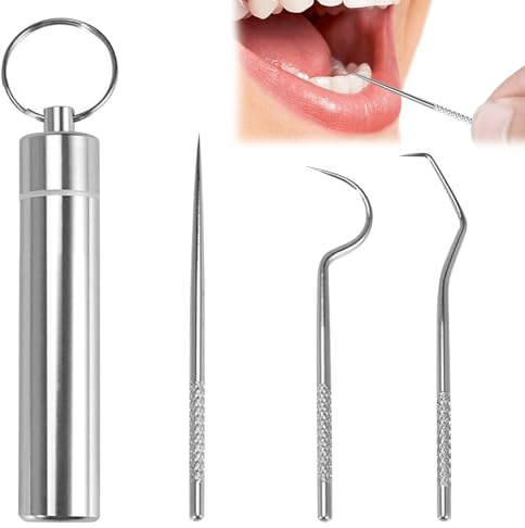 MEKEET 1PCS Toothpick Holders Metal Toothpick Set with 304 Stainless Steel Toothpick Set Reusable Titanium Tooth Pick Metal Pill Box with Key Chain Travel Toothpick in Case for Outdoor Activities