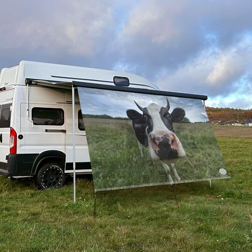 CAMPIDOO Textil Sonnensegel Kuh Berta | Höhe 200cm | hochwertiger Fotodruck inkl. Keder-Befestigung | Markisen-Vorderwand - Länge/Keder: 380cm / 5 mm Keder