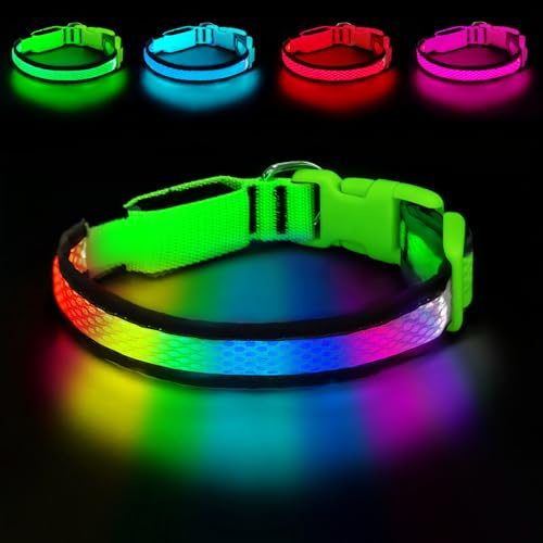 PWOD LED Dog Collar, Light Up Dog Collar,for Night Walking(Large,Green)