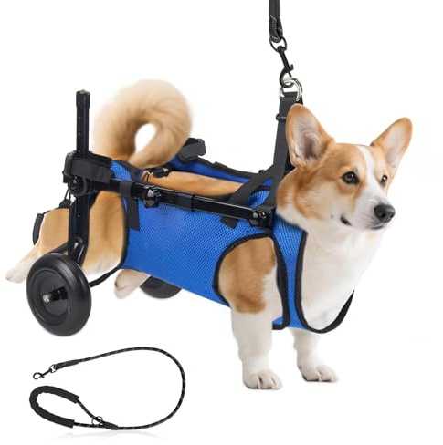 Fauteuil roulant réglable pour petits animaux de compagnie - Support de la jambe arrière pliable avec roues - Taille M - Aide à la mobilité pour pattes arrière paralysées (S)