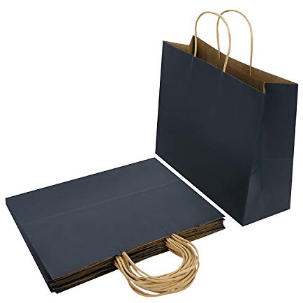Papiertüten 10 pcs Geschenktaschen Henkel Kraftpapiertüten Einfarbig Papiertaschen Party Geschenktüten Umweltschonend Tragetaschen Geburtstag Geschenkverpackung Befüllen Geschenkbeutel Weihnachten