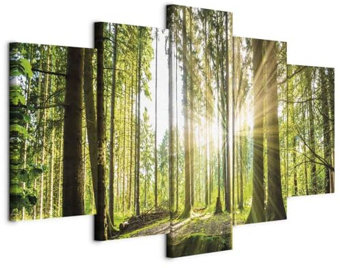 B&D XXL - Akustikbild Akustikbild Wald Natur, Schallschutz, Wohnzimmer | Verbessert Raumakustik, reduziert Hall, ideal fürs Büro oder Wohnzimmer, hochwertige Verarbeitung, schnelle Montage, stilvoll