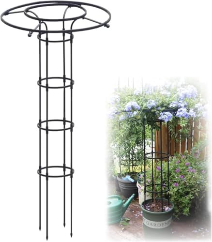 Enrejado vertical de jardín inoxidable para plantas trepadoras y flores, jaula de soporte de glicinia de 70.8 pulgadas, soporte de escalada para vides y rosas
