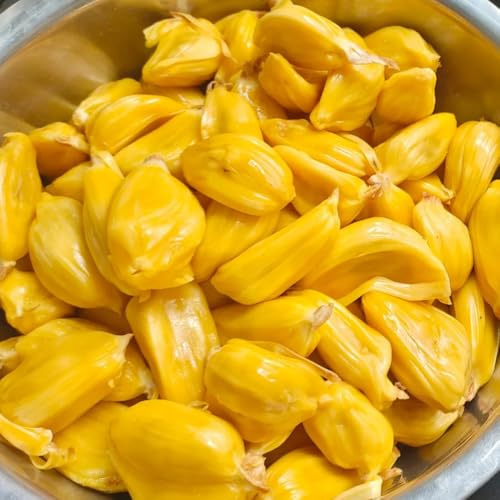 semi di jackfruit, serre da balcone regali per giardinieri da giardino roccioso esotiche resistenti all'esterno nani resistenti 15pcs