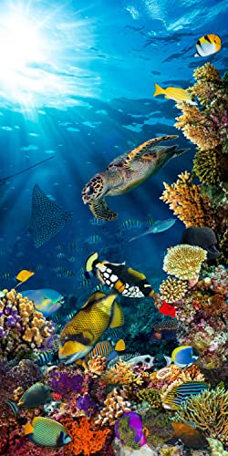 wandmotiv24 Türtapete Unterwasser Meer Korallen Fische 90 x 200cm (B x H) - selbstklebend Vlies 150g Sticker für Türen, Türfolie, Aufkleber, M1406