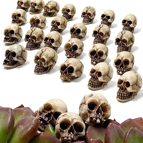 YumSur Harz Totenkopf Set Mini Totenkopf Figur Mini Schädel Totenkopf Modell Totenschädel Figur Deko Skelett Modell Landschaft Garten Topfpflanze Dekoration (20 Stück)