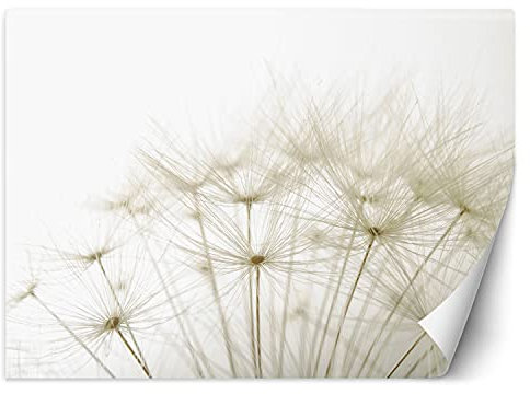 Feeby Papier Peint Intisse Plante Rosa Gros Plan 100x70 cm beige Déco Murale Trompe L' Oeil Tapisserie Moderne Salon Chambrea' Coucherr Salle De Bain Cuisine Gros Plan Orchidée Fleur