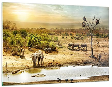 Wandbilder Dekoration Wohnzimmer Safari Tiere Bilder auf Glas 120x80cm Glasbild Schlafzimmer Küche Deko Wand Kunstdruck Art Groß XXL Wanddeko Bild im Glas Modern Wall Decor Glasdruck GAA120x80-3880