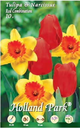 Holland Park bulbi da fiore di molte varietà e colori in sacchetto blister con foto (MIX TULIPANI ROSSI - NARCISI JUANITA 10 bulbi)