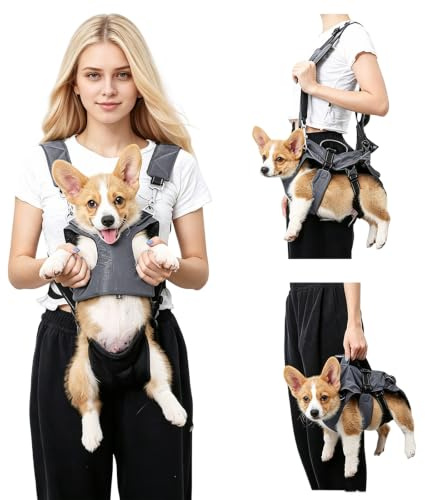 PETCUTE Haustier Rucksack Hundetragetasche,Verstellbare Brust Hunderucksack für Klein Hunde Katzen,Tragbare und Atmungsaktiv Haustier Tragetasche mit reflektierendem Band,Bis zu 15 kg,für Reisen