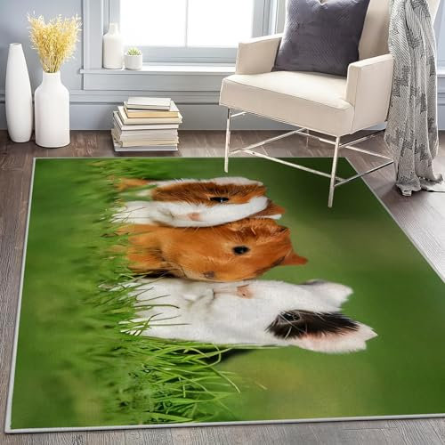 buyluhn Waschbar in Waschmaschine Wohnzimmer Teppich Meerschweinchen 60x180 Kurzflor Teppich Schlafzimmer, Tier Teppich Gegend Dünn Bettvorleger Saugfähig für Jugendzimmer Jungen Mädchen