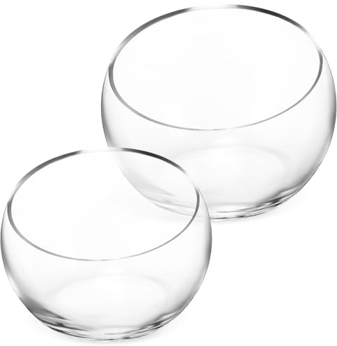 Gatuida 2 pièces Lot de Pots Verre Transparents pour Plantes Hydroponiques Vase Rond Demi-Lune avec Ouverture Inclinée Petits Pots Décoratifs pour Plantes et Fleurs Intérieur