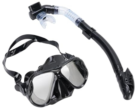 Yinhing Snorkelset för Vuxna med Vid Sikt High Definition Lins Av Härdat Glas Bekväma Dykglasögon och Effektiv Full Torr Snorkel för Snorklingsupplevelse i Design (Svart)
