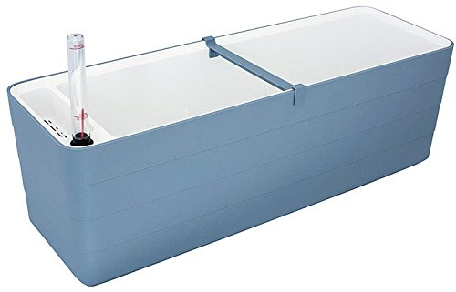 Berberis blomlåda växellåda med bevattningssystem självbevattning 60 cm och 80 cm Hellblau und Weiß