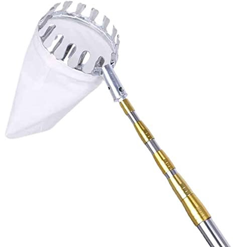 LekLai Recolector de Frutas, Recolector de Frutas Telescópico con Mango, Dientes de Pinza de Metal Mejorados, Poste de Conexión de Acero Inoxidable, para Huertos, Plantaciones/6M(19.6Ft)