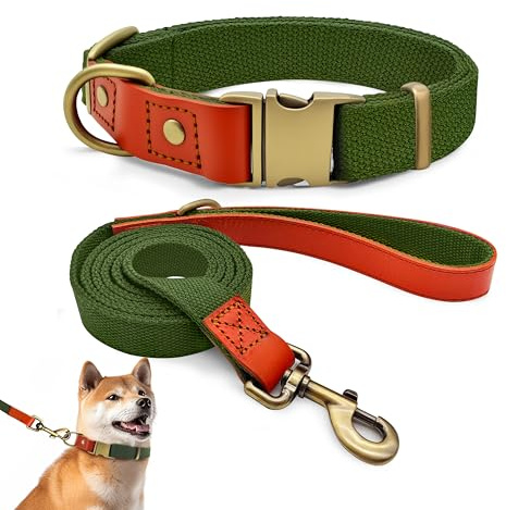 Hundehalsband und 150cm Leine Set L, Nylon Leder Militärgrün | Verstellbares Set 2cm Breit Für Große Hunde, Reißfester Nylon-Leder Mix, Vintage Messing-Optik Verschluss, Outdoor