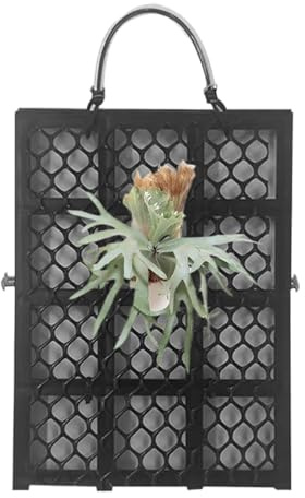 Supporto per Felce Platycerium | Supporto da Parete per Pannello di Felce,Montaggio per Orchidee Platycerium per Uffici Casa Balconi Interni ed Esterni