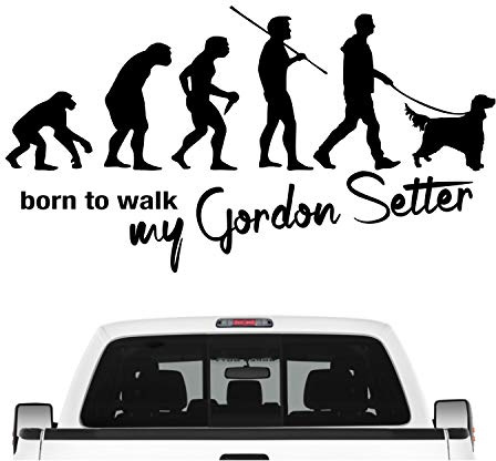 siviwonder Gordon Setter Black Setter Jagd Evolution Auto Aufkleber Hund Folie Farbe Schwarz, Größe 45cm