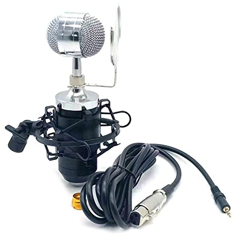 Kit microfono a condensatore ad alta sensibilità a basso rumore moda microfono portatile per studio live streaming Broadcasting