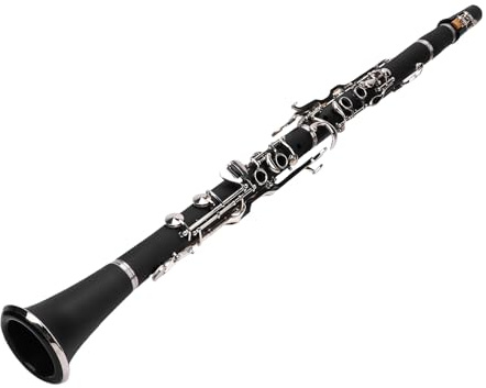 Omquot Clarinetto Professionale 17 Tasti G, Strumento Musicale per Bambini e Adulti, Performance Applicabile per Musica Classica e Jazz