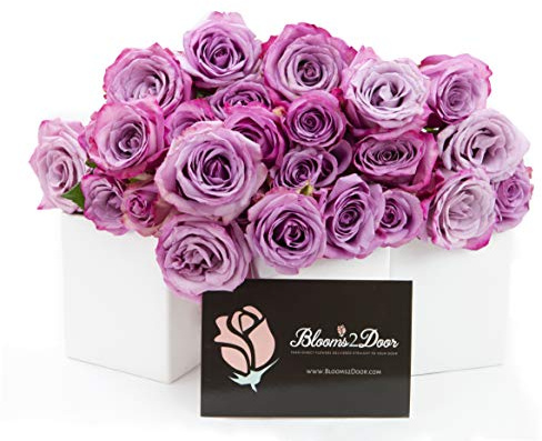 Blooms2Door PRIME NEXT DAY DELIVERY - 25 Purple Roses (Farm-Fresh - 50cm) - Farm Direct Wholesale Fresh .Gift for Birthday, Sympathy, Anniversary, Thank You, Valentine, Mother’s Day Fresh Flowers