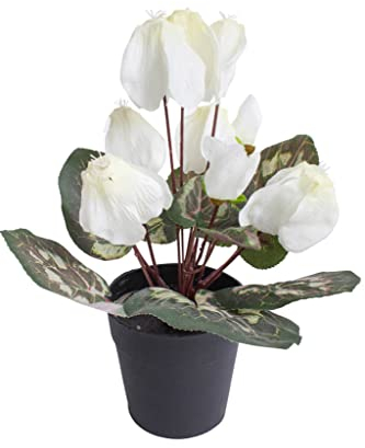 Botanic-Haus künstliches Alpenveilchen (Cyclamen) im schwarzen Kunststofftopf (Creme-weiß)