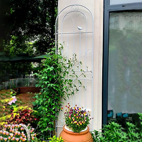 Rasenkanten Rankhilfe Gartenzaun Rankgitter Gartenstecker Garten Gartenpfähle Gartenzäune Beetzaun Metall Obelisk Pflanzenstützen für Gartendeko,Deko Für Kletterpflanzen,Rosen,Reben ( Color : White )