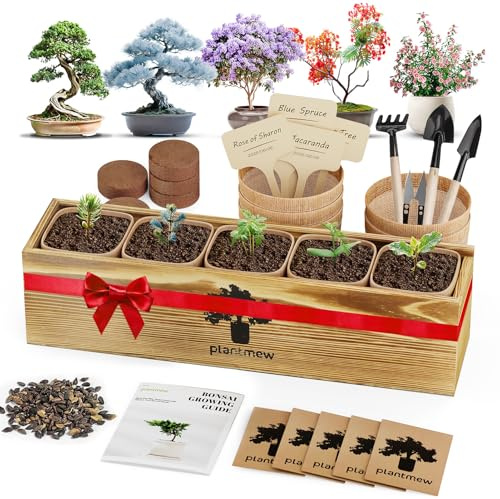 Kit de bonsaï – Lot de 5 kits de démarrage d'intérieur complets avec 5 bonsaïs japonais uniques, outils et jardinières – Cadeau de jardinage parfait pour les femmes, les hommes, les amateurs de