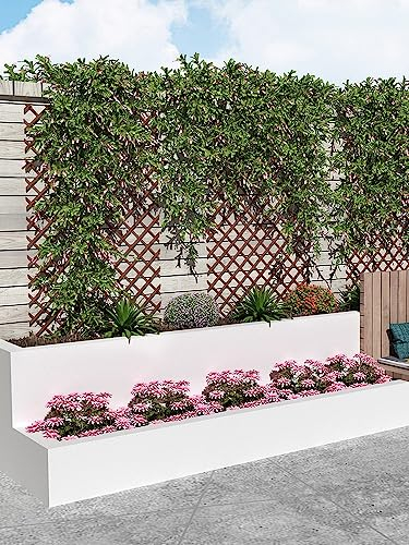 DHGVCED Erweiterbare Pflanzenstütze, Pflanzen-Klettergitter, Rankgitter Aus Weide, Erweiterbarer Rankgitterzaun Für Kletterpflanzen, Zimmer, Terrasse, Garten(Size:H175)