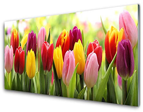 Tulup Acrylic Print 100x50cm Wall Art - Wall Picture on Plastic Acryl Glass - Tulips Floral