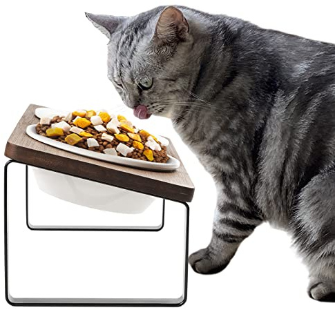 GUUSII HOME Raised Cat Food Bowl Elevated Kitty Dish 2 Ceramic Bowls Dia 14cm Bamboo Stand 15°Tilted Anti Vomiting Indoor Cats Double Dishes Feeding Station Kitten Puppy Easy to Assemble & Clean