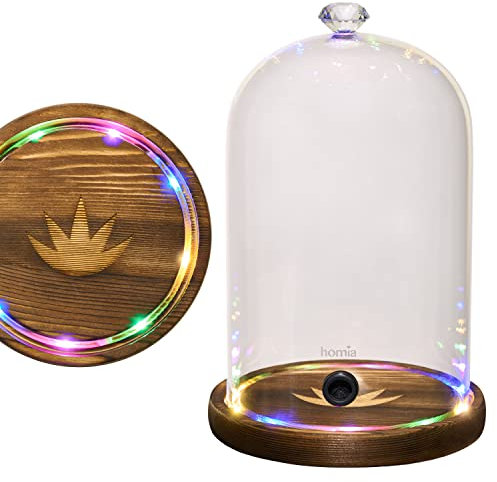 Dôme en verre pour pistolet à fumer - 22,9 x 14,5 cm - Couvercle avec base en bois - Infuseur à fumée - Couvercle pour fumoir à cocktail - Dôme pour fumée froide - Cloche pour boissons
