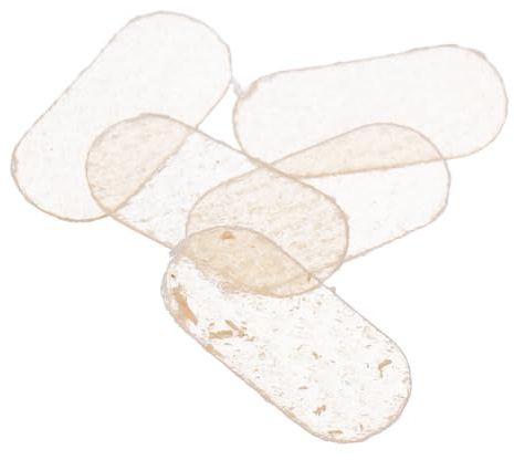 Cuscinetto per Ponticello Violino 6 Pezzi Beige in Pelle di Pecora