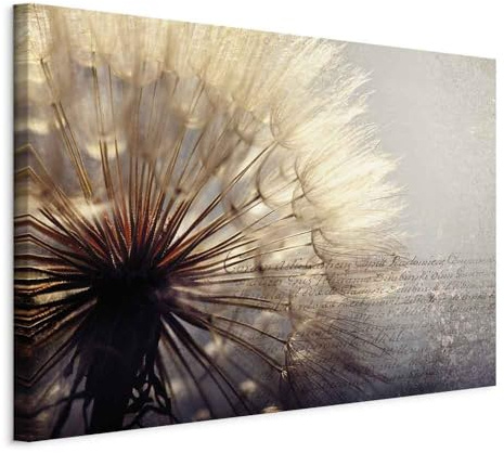 murando - Wandbilder XXL Pusteblume 120x80 cm 1 tlg - Wand Deko Vlies Leinwand Bilder Groß Wanddeko Wohnzimmer Schlafzimmer Kunstdrucke - Pusteblumen Blumen b-C-0165-b-b