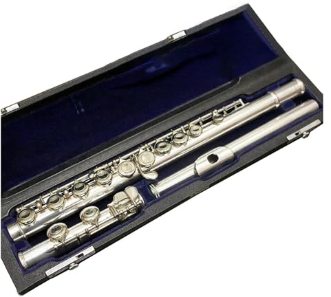 16 Tasten, Geschlossene Löcher, C-Stimmung, Flöte, Musikinstrument, Kupfernickel-versilberte Flöte Mit Koffer Querflöte für Anfänger