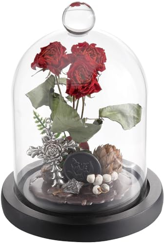SUNNYCLUE Glasglocke Mit Kuppel 105x160 mm Glasglocke Mit Schwarzem Holzsockel Klare Glasglocke Glas Displayglocke Glasglocke Dekoratives Etui Für Hochzeit Zuhause Pflanzen Weihnachten Party Gastgesch