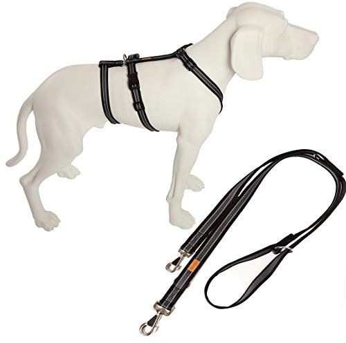 Feltmann No Exit ausbruchsicheres Hundegeschirr für Angsthund, Panikgeschirr, Soft Grip, Bauchumfang 75-100 cm, 25 mm Bandbreite, schwarz/Silber, inkl. passender Führleine 210 cm