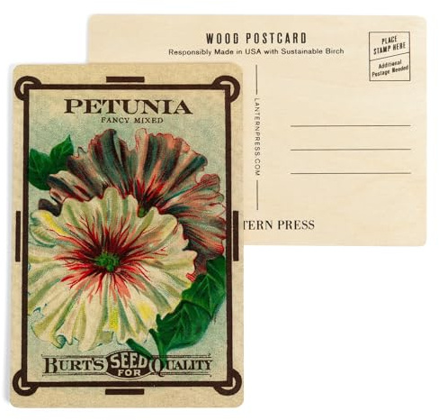 Petunia Seed Packet (4x6 Birch Wood Postcards, 2-Pack Stationary, Rustic Home Wall Decor)