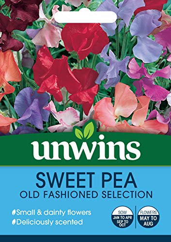 Unwins 30210653 Sweet Pea Old Fashioned Mix Seeds, Clear