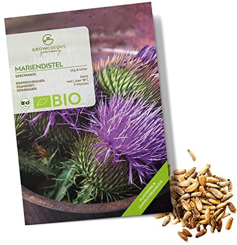 BIO Mariendistel Samen - Heilkräuter Saatgut aus biologischem Anbau ideal für den heimischen Kräutergarten, Balkon & Garten (50 Korn)